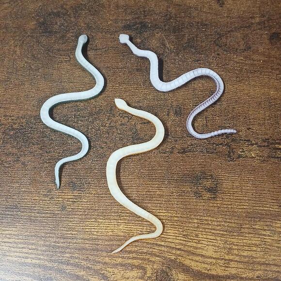 Lot of 3 Small 5" Toy Snakes, Various Species - Picture 3 of 3
